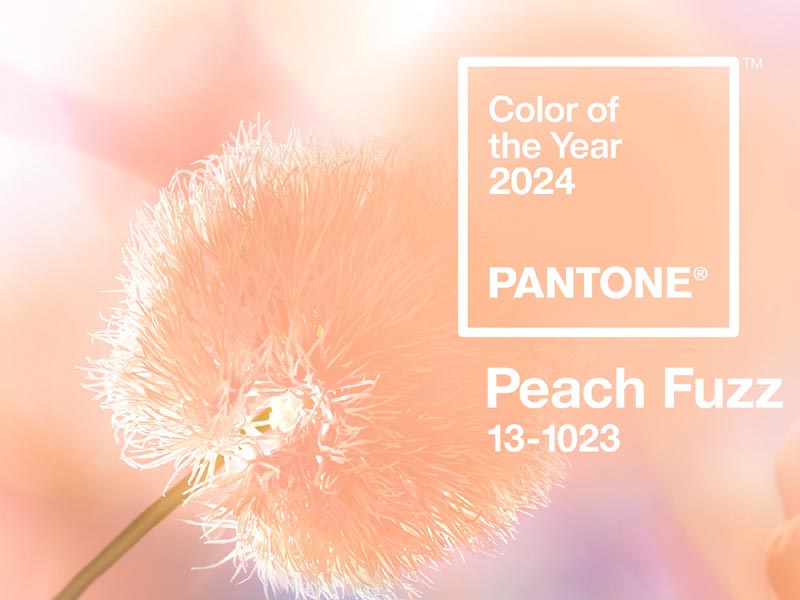 PANTONE 13-1023 Peach Fuzz en deco