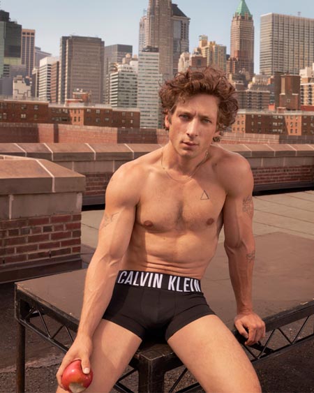 Jeremy Allen White Para Calvin Klein