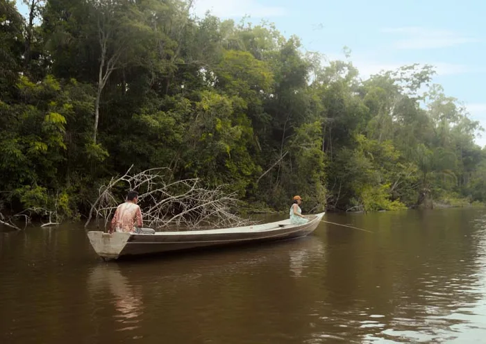 Documental de Natura en la BBC
