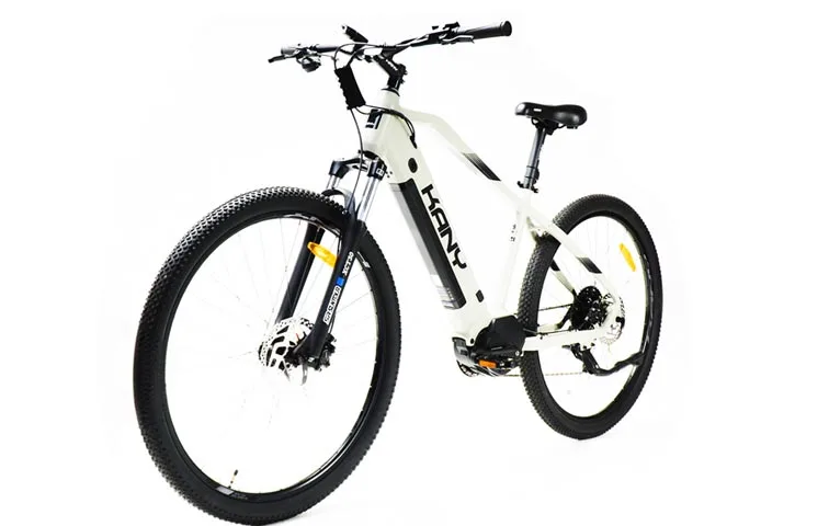 A qué precio se consigue la e-Bike EB-M290 de KANY en Argentina