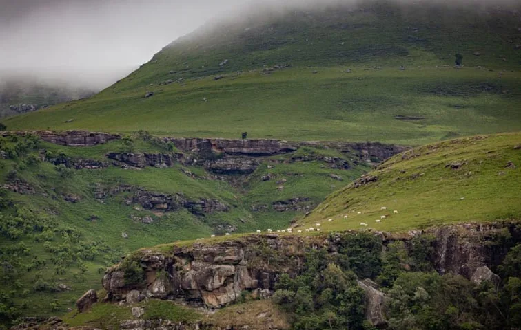 Angus Burns/WWF South Africa